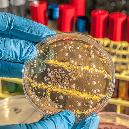 Hälsa och sjukdomskontroll